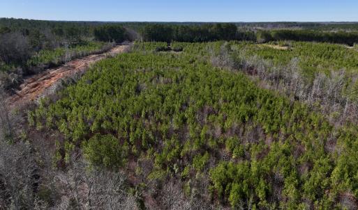 Photo #8 of SOLD property in Off Pine Grove Church Road, Eagle Springs, NC 11.6 acres