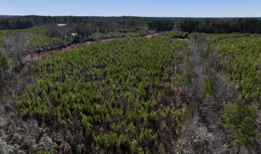 Photo #9 of SOLD property in Off Pine Grove Church Road, Eagle Springs, NC 11.6 acres
