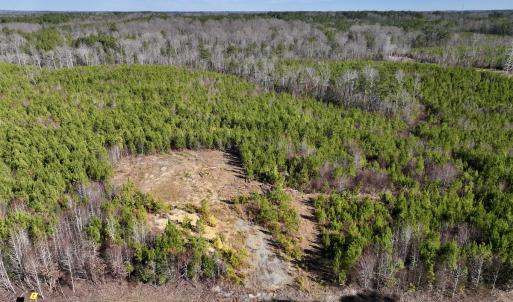 Photo #20 of SOLD property in Off Pine Grove Church Road, Eagle Springs, NC 11.6 acres