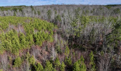 Photo #23 of SOLD property in Off Pine Grove Church Road, Eagle Springs, NC 11.6 acres
