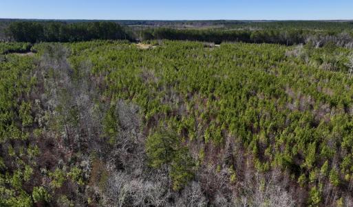 Photo #24 of SOLD property in Off Pine Grove Church Road, Eagle Springs, NC 11.6 acres