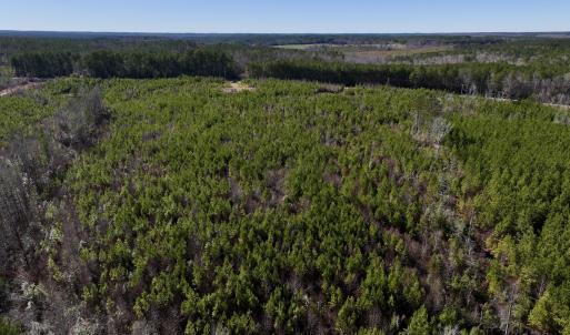 Photo #25 of SOLD property in Off Pine Grove Church Road, Eagle Springs, NC 11.6 acres