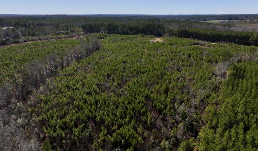 Photo #26 of SOLD property in Off Pine Grove Church Road, Eagle Springs, NC 11.6 acres