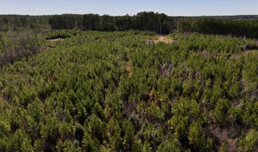 Photo #27 of SOLD property in Off Pine Grove Church Road, Eagle Springs, NC 11.6 acres