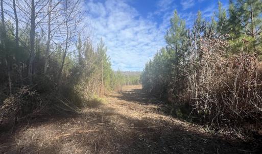 Photo #28 of SOLD property in Off Pine Grove Church Road, Eagle Springs, NC 11.6 acres