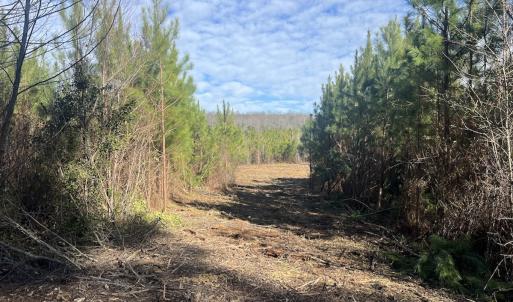 Photo #29 of SOLD property in Off Pine Grove Church Road, Eagle Springs, NC 11.6 acres