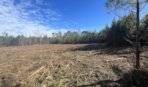 Photo #30 of SOLD property in Off Pine Grove Church Road, Eagle Springs, NC 11.6 acres