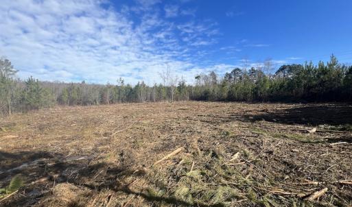 Photo #31 of SOLD property in Off Pine Grove Church Road, Eagle Springs, NC 11.6 acres