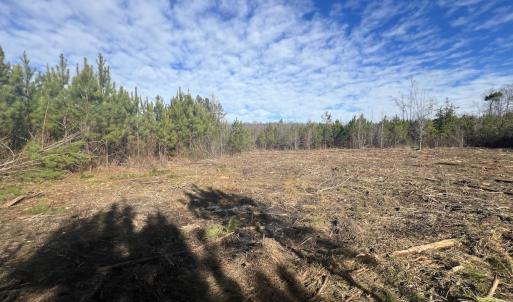 Photo #32 of SOLD property in Off Pine Grove Church Road, Eagle Springs, NC 11.6 acres