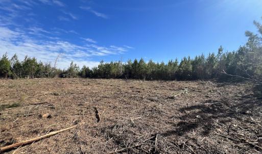 Photo #11 of SOLD property in Off Pine Grove Church Road, Eagle Springs, NC 11.5 acres