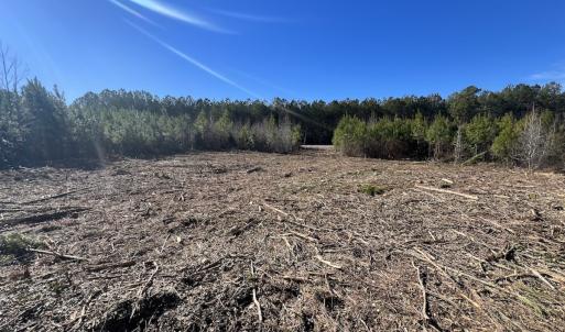 Photo #12 of SOLD property in Off Pine Grove Church Road, Eagle Springs, NC 11.5 acres