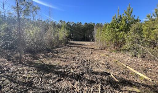 Photo #13 of SOLD property in Off Pine Grove Church Road, Eagle Springs, NC 11.5 acres