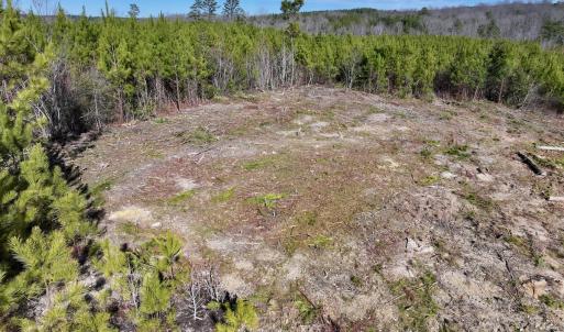 Photo #3 of SOLD property in Off Pine Grove Church Road, Eagle Springs, NC 11.5 acres