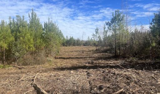 Photo #8 of SOLD property in Off Pine Grove Church Road, Eagle Springs, NC 11.5 acres