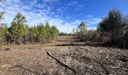 Photo #9 of SOLD property in Off Pine Grove Church Road, Eagle Springs, NC 11.5 acres