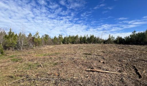 Photo #10 of SOLD property in Off Pine Grove Church Road, Eagle Springs, NC 11.5 acres