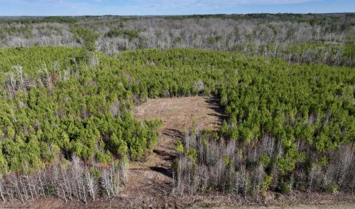 Photo #2 of SOLD property in Off Pine Grove Church Road, Eagle Springs, NC 11.5 acres
