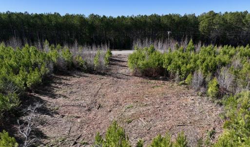 Photo #11 of SOLD property in Off Pine Grove Church Road, Eagle Springs, NC 11.5 acres