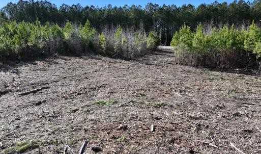 Photo #12 of SOLD property in Off Pine Grove Church Road, Eagle Springs, NC 11.5 acres