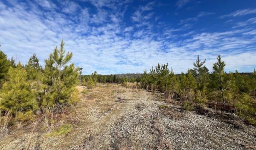 Photo #13 of SOLD property in Off Pine Grove Church Road, Eagle Springs, NC 11.5 acres