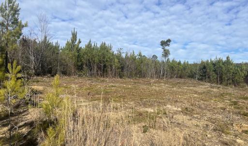 Photo #14 of SOLD property in Off Pine Grove Church Road, Eagle Springs, NC 11.5 acres