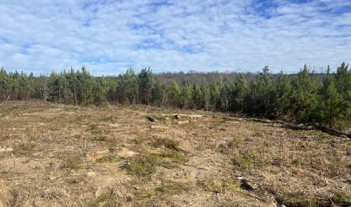 Photo #15 of SOLD property in Off Pine Grove Church Road, Eagle Springs, NC 11.5 acres