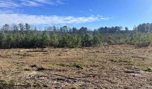 Photo #17 of SOLD property in Off Pine Grove Church Road, Eagle Springs, NC 11.5 acres
