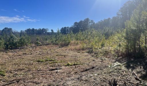 Photo #18 of SOLD property in Off Pine Grove Church Road, Eagle Springs, NC 11.5 acres