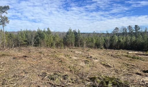Photo #19 of SOLD property in Off Pine Grove Church Road, Eagle Springs, NC 11.5 acres