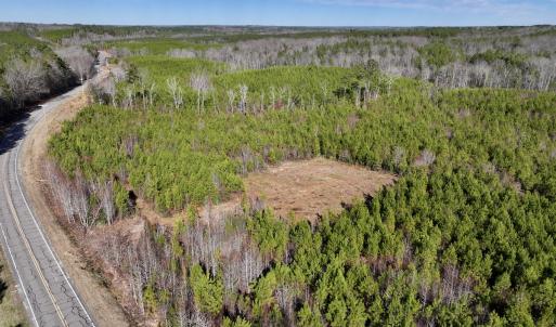 Photo #3 of SOLD property in Off Pine Grove Church Road, Eagle Springs, NC 11.5 acres