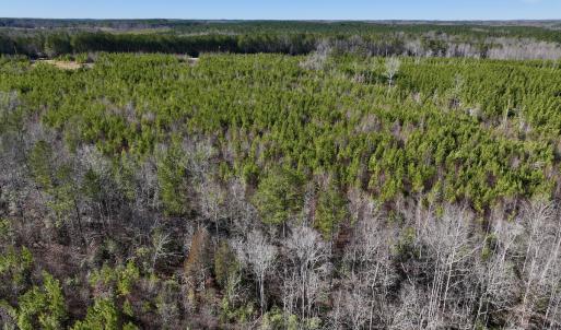 Photo #6 of SOLD property in Off Pine Grove Church Road, Eagle Springs, NC 11.5 acres