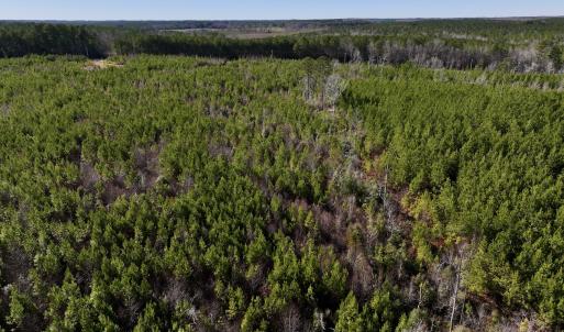 Photo #7 of SOLD property in Off Pine Grove Church Road, Eagle Springs, NC 11.5 acres