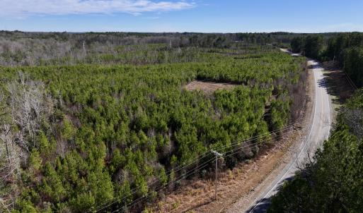 Photo #9 of SOLD property in Off Pine Grove Church Road, Eagle Springs, NC 11.5 acres