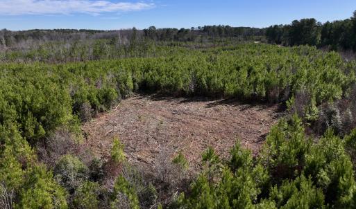 Photo #10 of SOLD property in Off Pine Grove Church Road, Eagle Springs, NC 11.5 acres
