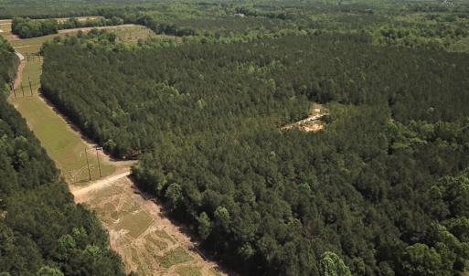 Photo #5 of SOLD property in Off Moores Ferry Rd, Emporia, VA 145.0 acres