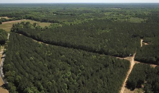 Photo #7 of SOLD property in Off Moores Ferry Rd, Emporia, VA 145.0 acres