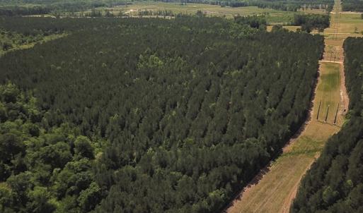 Photo #8 of SOLD property in Off Moores Ferry Rd, Emporia, VA 145.0 acres