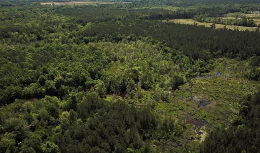 Photo #10 of SOLD property in Off Moores Ferry Rd, Emporia, VA 145.0 acres
