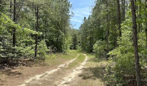 Photo #15 of SOLD property in Off Moores Ferry Rd, Emporia, VA 145.0 acres