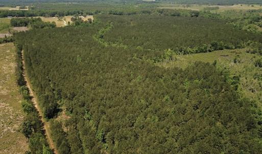 Photo #16 of SOLD property in Off Moores Ferry Rd, Emporia, VA 145.0 acres