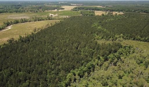 Photo #19 of SOLD property in Off Moores Ferry Rd, Emporia, VA 145.0 acres