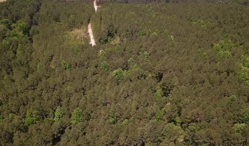 Photo #21 of SOLD property in Off Moores Ferry Rd, Emporia, VA 145.0 acres