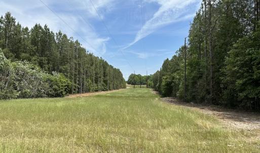 Photo #28 of SOLD property in Off Moores Ferry Rd, Emporia, VA 145.0 acres