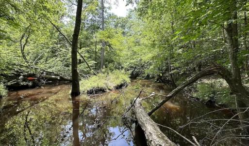 Photo #31 of SOLD property in Off Moores Ferry Rd, Emporia, VA 145.0 acres