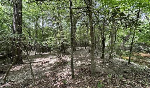 Photo #35 of SOLD property in Off Moores Ferry Rd, Emporia, VA 145.0 acres