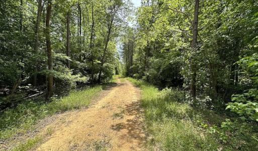 Photo #37 of SOLD property in Off Moores Ferry Rd, Emporia, VA 145.0 acres