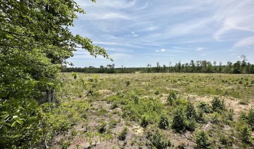Photo #40 of SOLD property in Off Moores Ferry Rd, Emporia, VA 145.0 acres