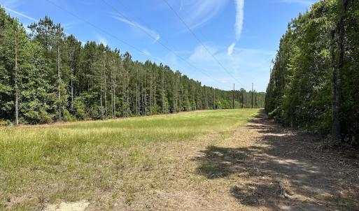 Photo #3 of SOLD property in Off Moores Ferry Rd, Emporia, VA 145.0 acres
