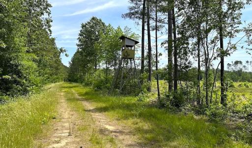 Photo #41 of SOLD property in Off Moores Ferry Rd, Emporia, VA 145.0 acres
