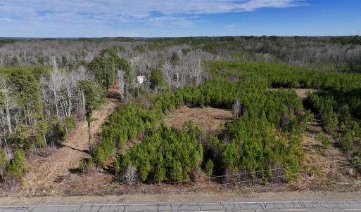 Photo #2 of SOLD property in Off Pine Grove Church Road , Eagle Springs, NC 11.2 acres